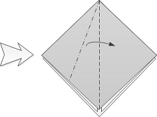 Squash fold diagram