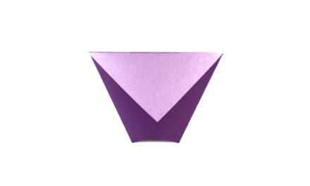 Traditional Origami Cup