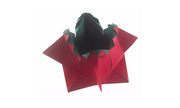 Traditional Fancy Origami Box