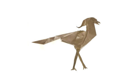 A favourite: Diaz’s Origami Secretary Bird