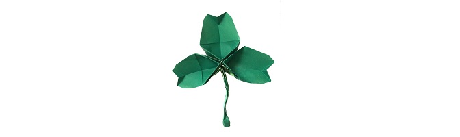 st patricks day origami owl