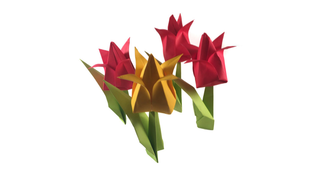 origami tulips