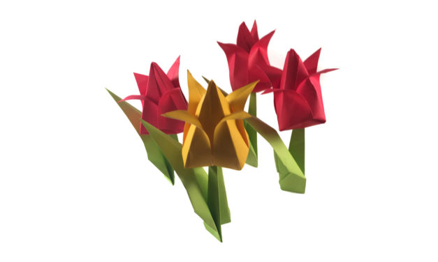 Traditional Origami Tulip with Video Instructions