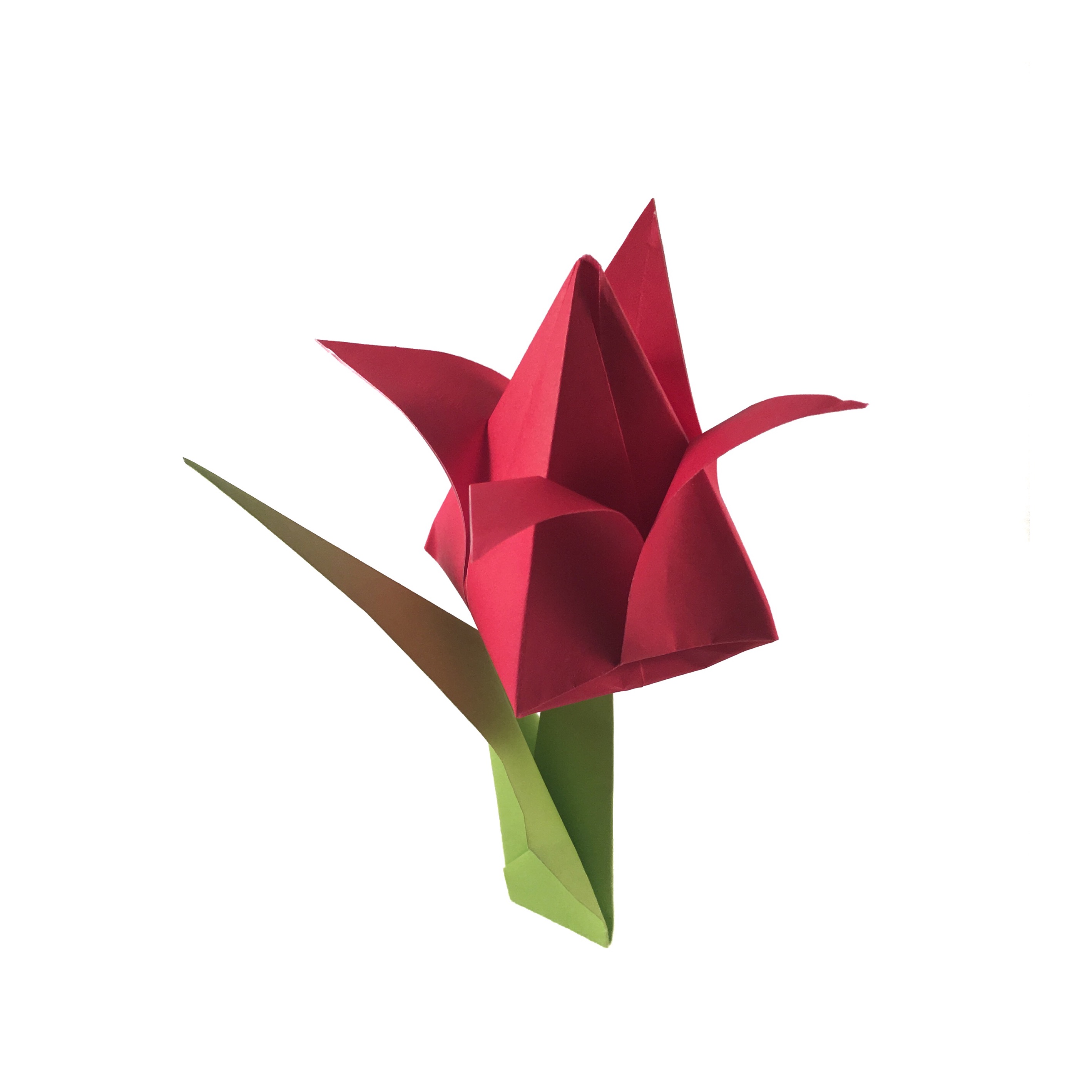 Traditional Origami Tulip with Video Instructions - Origami ...