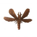 Dobsonfly, by Brian Chan 