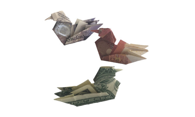 Money Origami Mandarin Duck