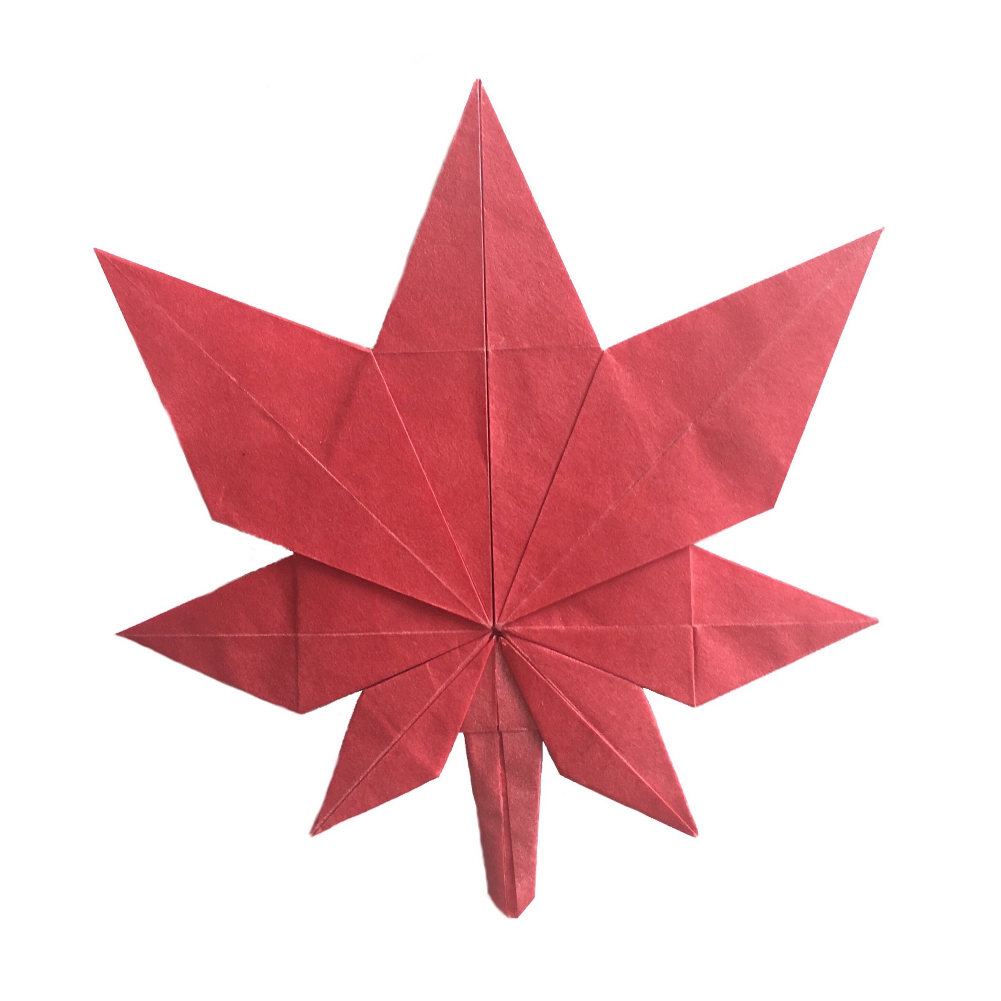 Fold An Origami Maple Leaf For Canadas Birthday Origami