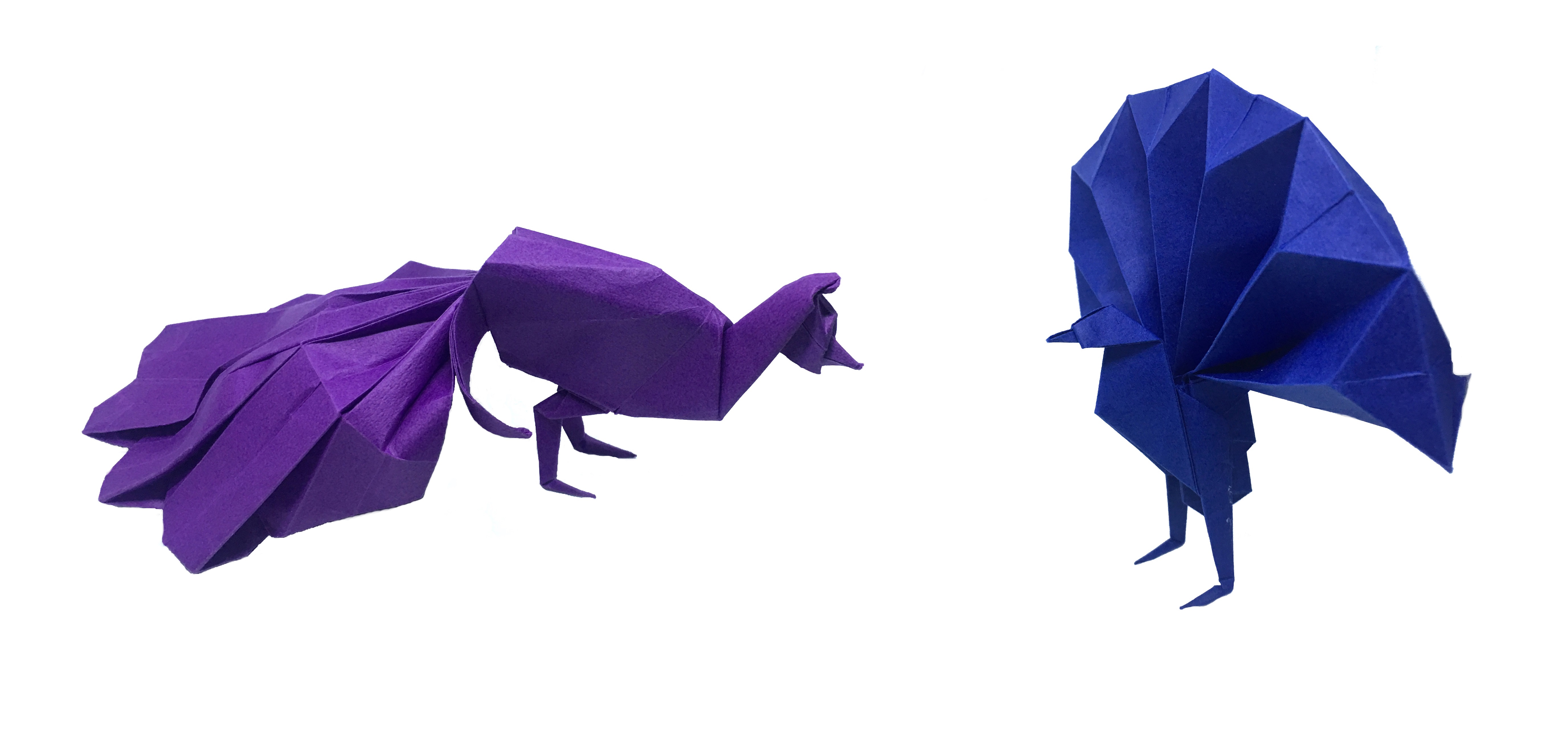 A Pair of Origami Peacocks - Origami Expressions