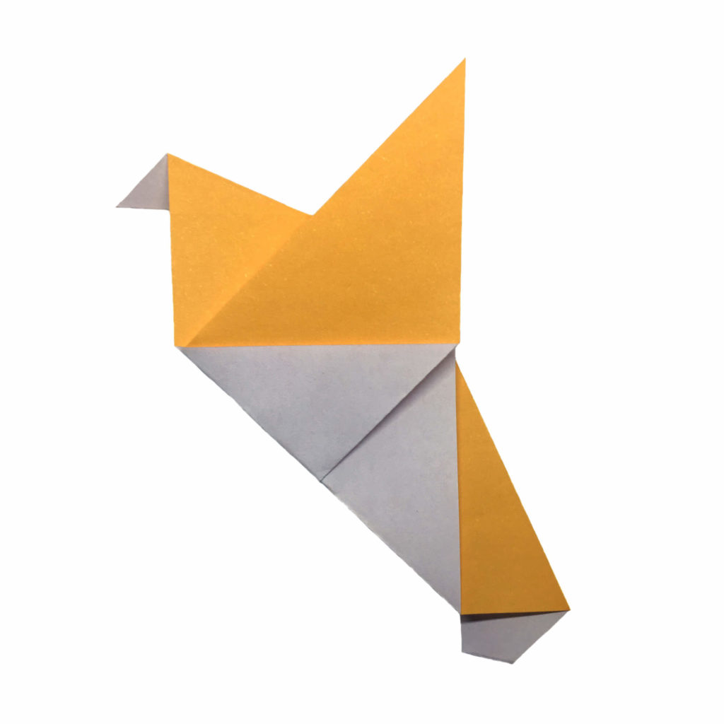 Origami Pigeon Experiment - Origami Expressions