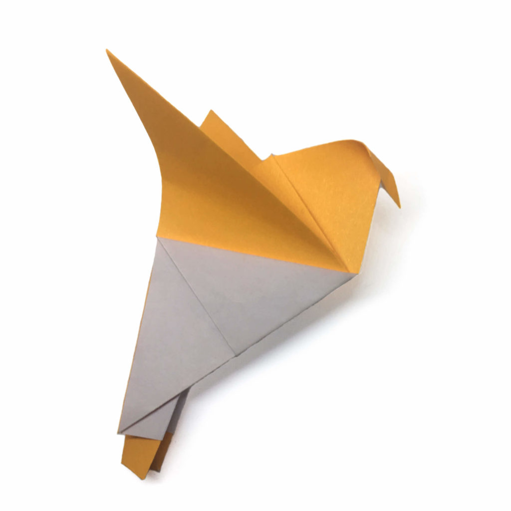 Origami Pigeon Experiment - Origami Expressions