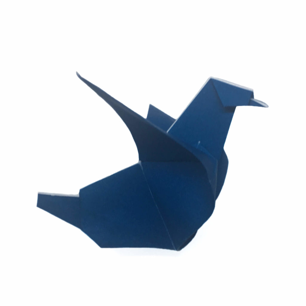 Origami Pigeon Experiment - Origami Expressions