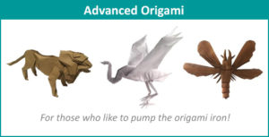 Advanced Origami - Medium V2