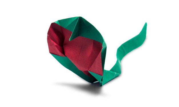 Fold an Easy Origami Cobra