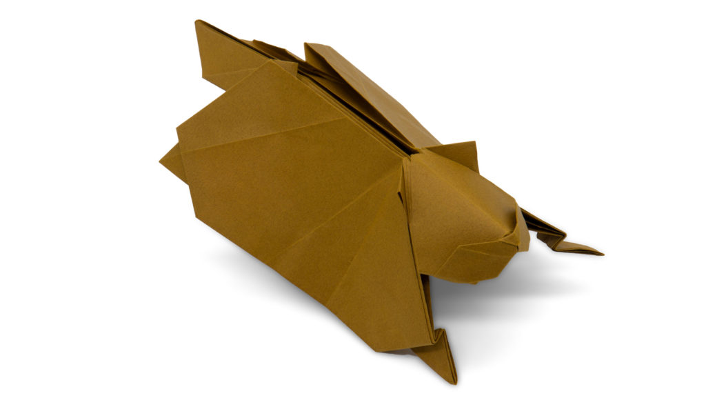 origami flying squirrel