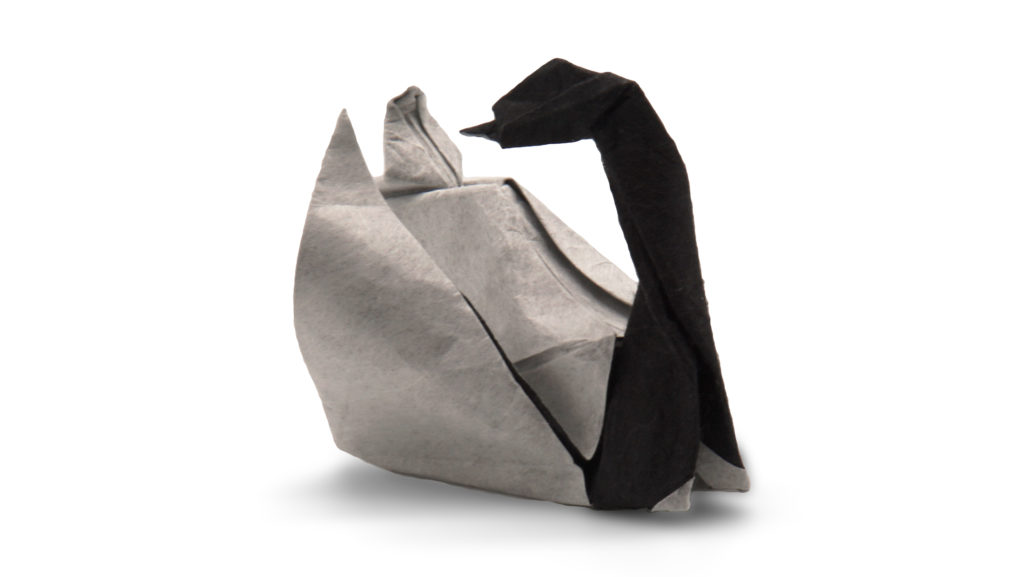 origami black necked swan