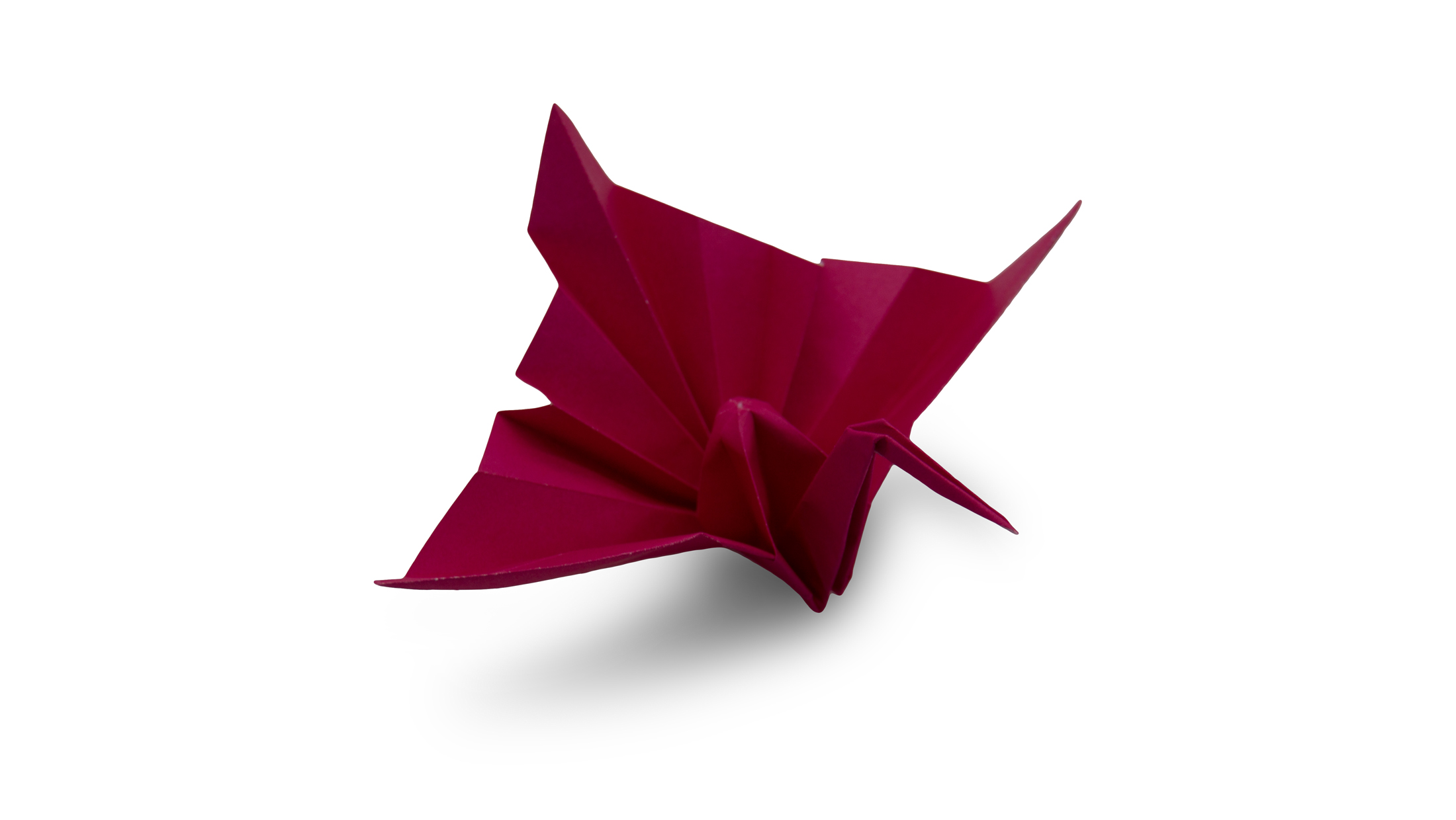 origami celebration crane
